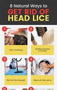 Image result for Home Remedies for Lice and Nits
