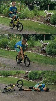 Image result for Stick in Bicycle Wheel Meme