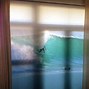 Image result for Roller Shade Window Coverings
