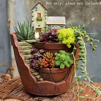 Image result for Plants for Flower Pots