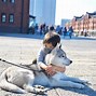 Image result for Size Difference Wolf and a Dog