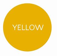 Image result for Yellow Round Logo.png