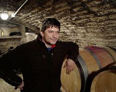 Image result for Georges Noellat Beaune Clos Mignotte