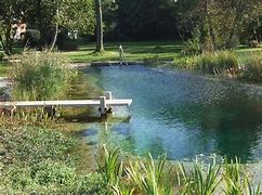 Image result for Man-Made Swimming Pond
