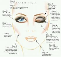 Image result for How to Apply Makeup Diagram
