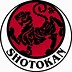 Image result for Shotokan
