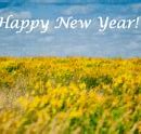 Image result for New Year 2018 Quotes