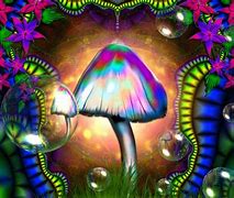 Image result for Neon Mushroom Background