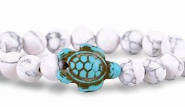 Image result for Sea Turtle Tracking Bracelet