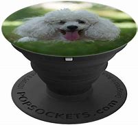 Image result for Pull Up a Picture of a Pop Socket Puppy