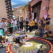 Image result for alfombfista