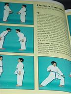 Image result for Karate Books