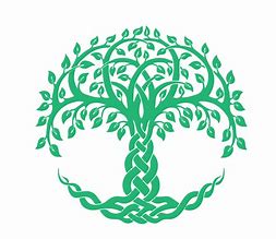 Image result for Celtic Tree Symbols