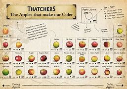 Image result for New England Cider Apple Varieties