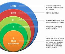 Image result for Whole Exome Sequencing