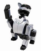 Image result for Sony Aibo 1st Gen