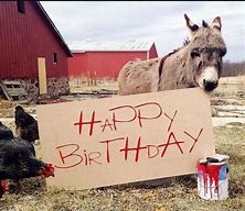 Image result for Happy Birthday Farm Animals Meme