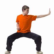 Image result for Kung Fu Styles by Body Type