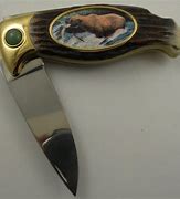 Image result for Picture of Bears On Pocket Knife