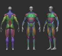 Image result for Hyper Realistic Human 3D Model