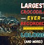 Image result for Biggest CROCODILE Ever Found