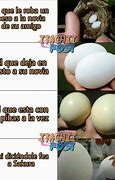 Image result for Mira El Tamano De Esos Huevos