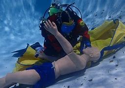 Image result for Dolphinbell Body Recovery