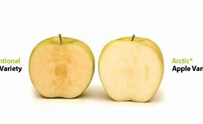 Image result for GMO Apple's