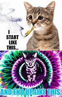 Image result for Cat Smokeing Weed