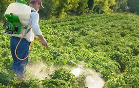 Image result for Organic Plant Pesticides