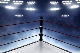 Image result for Wrestling Boxing Ring Wide Angle