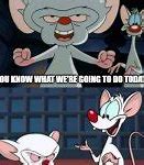 Image result for Body Build Pinky and the Brain Meme