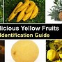 Image result for Fruit That Looks Like a Yellow Apple