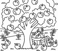 Image result for Summer Apple Tree