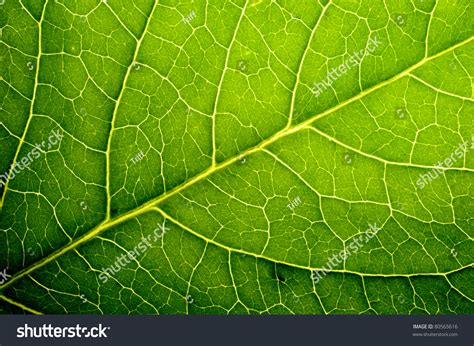 Image result for JavaScript Package to Use for Excel