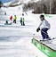 Image result for Park Skiing