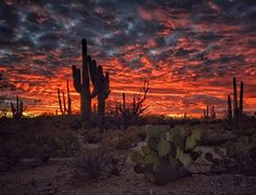 Image result for 4K Wallpaper Desert Dark Arizona