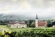 Image result for Schloss Gobelsburg Pinot Noir Alte Haide