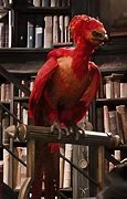 Image result for Phoenix in Harry Potter