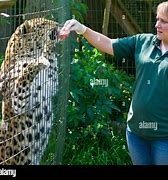 Image result for Zookeeper Zoo Animals