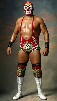 Image result for Luchadores Costumes