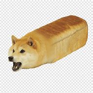 Image result for Bread Doge Dog Memes