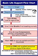 Image result for CPR Flow Chart