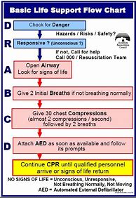 Image result for CPR Flow Chart Australia