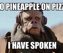 Image result for Grumpy Cat Meme Pineapple On Pizza