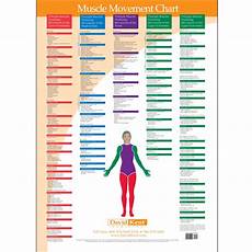 Trigger Point Charts Wall Set Kent Health Systems