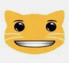 Image result for Cat Ruler Meme