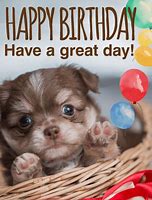 Image result for Happy Birthday Funny Animals