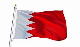 Image result for Bahrain Flag Colors