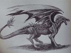Image result for Western Dragon Art